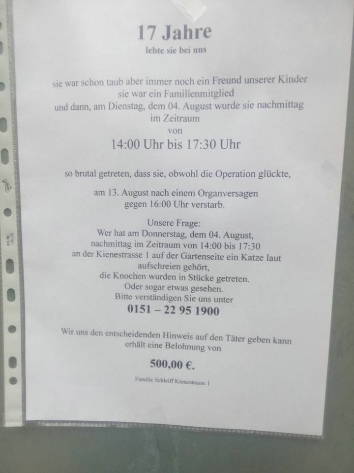 Mit diesem Aushang wird der Tierquäler von Hasenbergl gesucht. Quelle: Stella Torma / Facebook