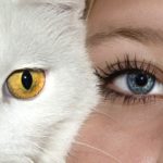 Mensch-Tier-Beziehung