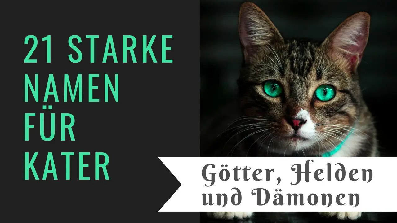 49++ Katzen namen weiblich lustig info