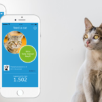 App für Katzen Tierschutz App