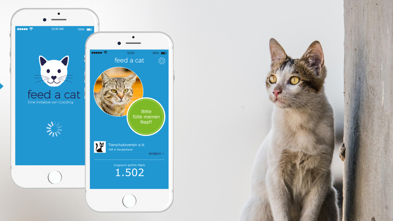 App für Katzen Tierschutz App