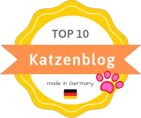 Die besten deutschsprachigen Katzenblogs 2019
