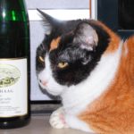 katzen wein