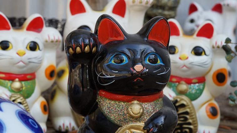 katzen japan