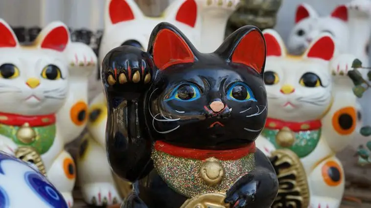 Maneki Neko: Weshalb die Glückskatze in Japan so verehrt wird | Cat