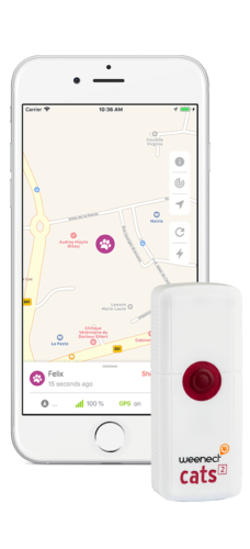 Gps Sender Für Katzen Unter Der Haut GPS Sender für Katzen: Weenect entwickelt den weltweit kleinsten