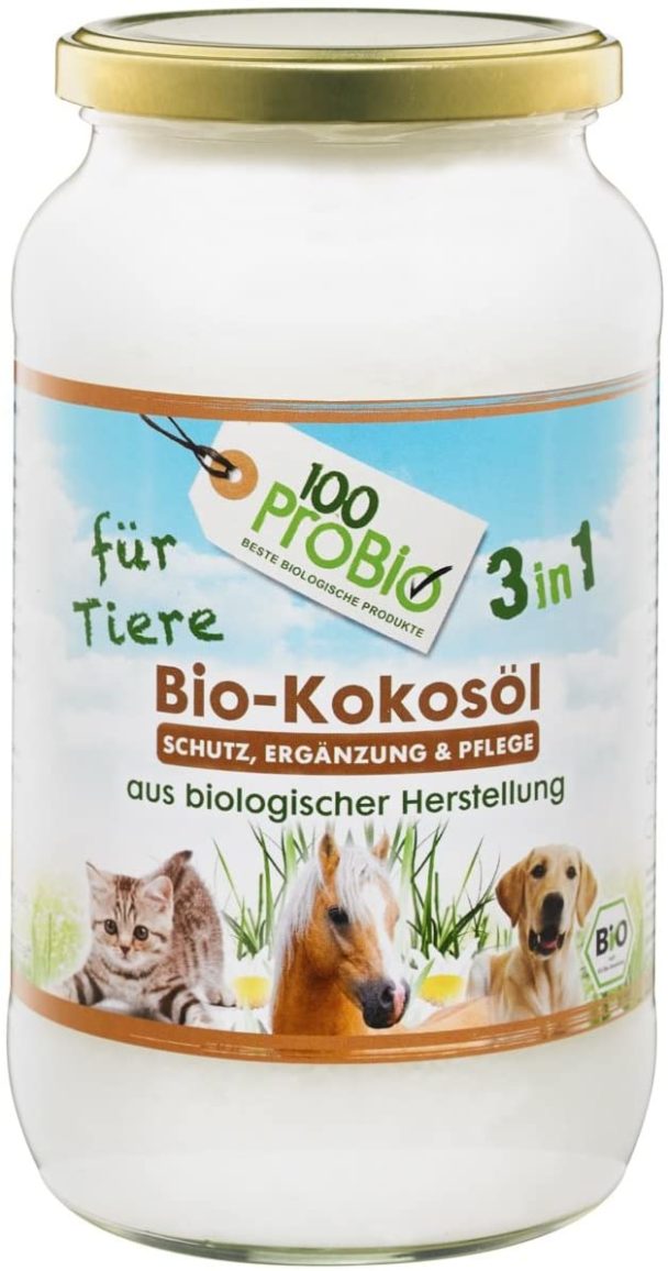 Kokosöl bei Katzen Was es kann, wie es wirkt!