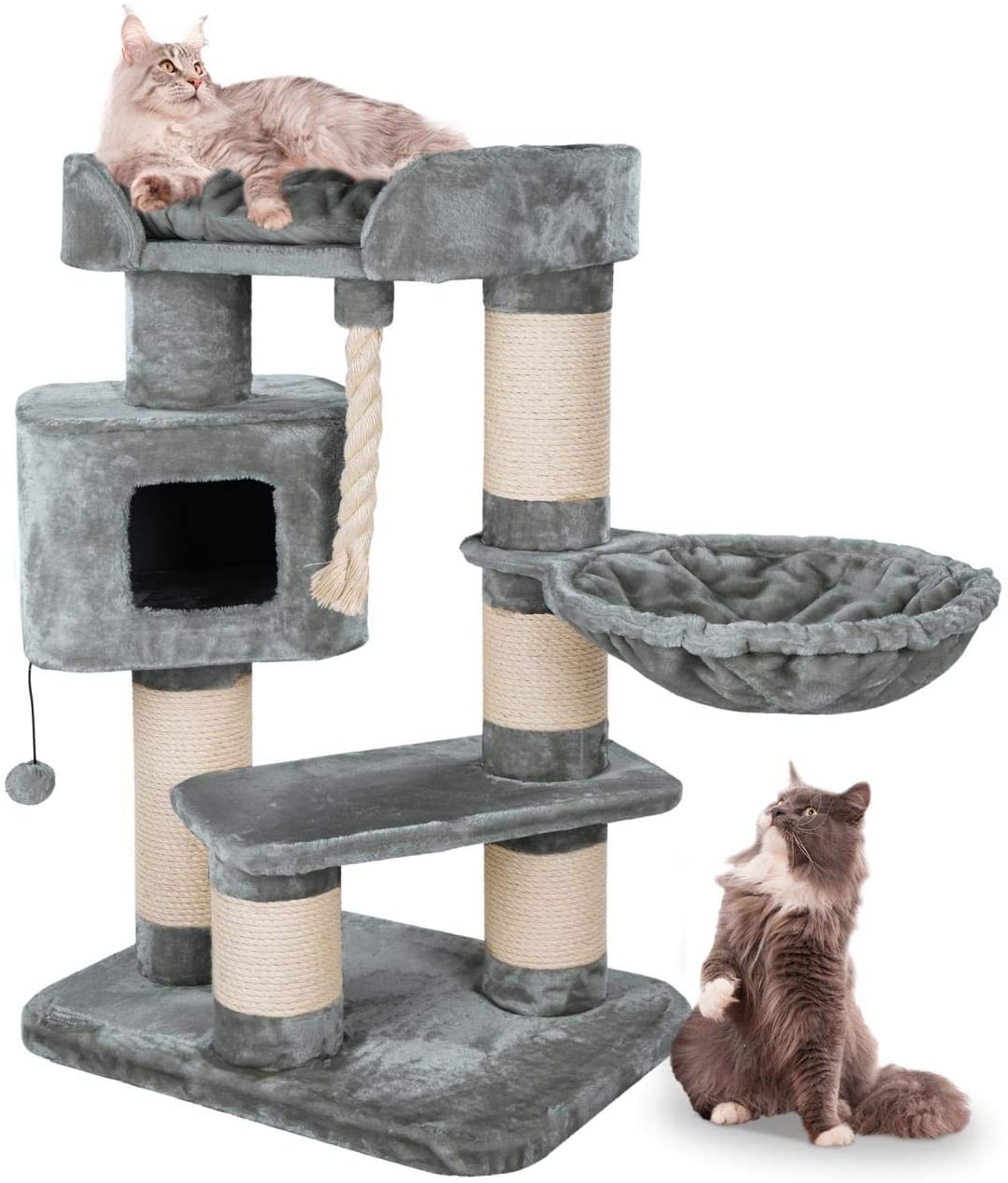 katzen