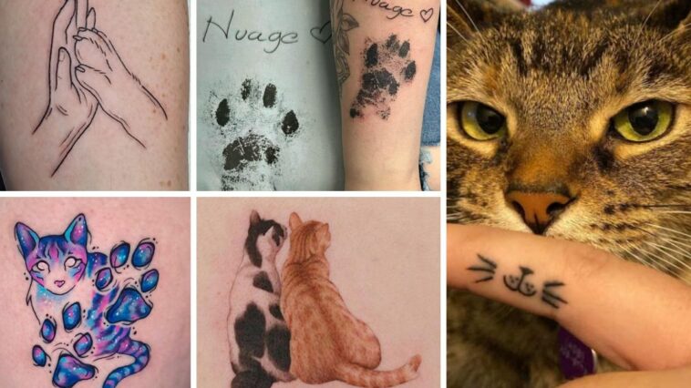 Die schönsten Ideen für Katzen Tattoos