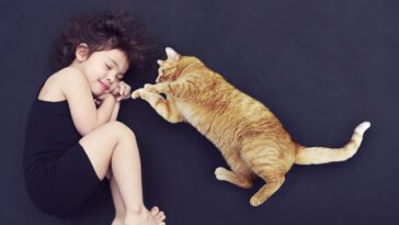 Katzen und ihr Verhältnis zu Kindern