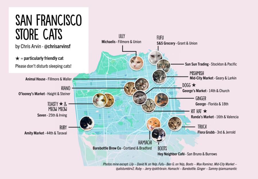 San Francisco Store Cats